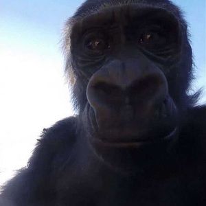 Meet your Posher, Roger